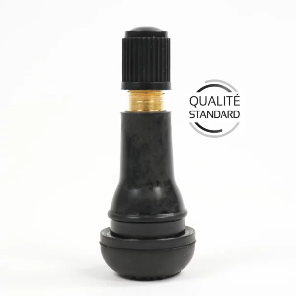 Sachet de 100 valves TR413 HTR413 (+1 Point)